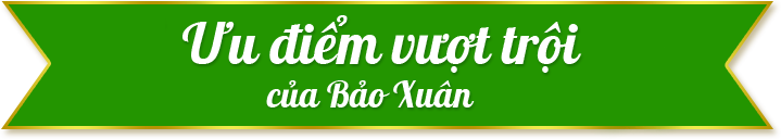Bảo Xuân