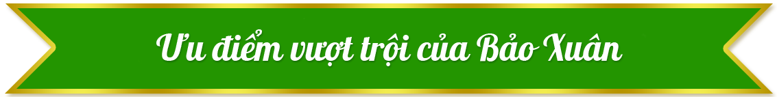 Bảo Xuân